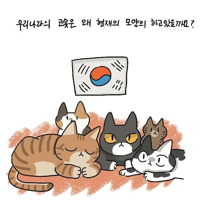 본문 이미지 -  