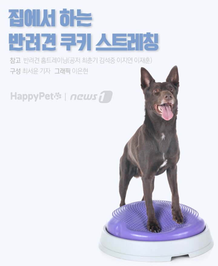 본문 이미지 -  