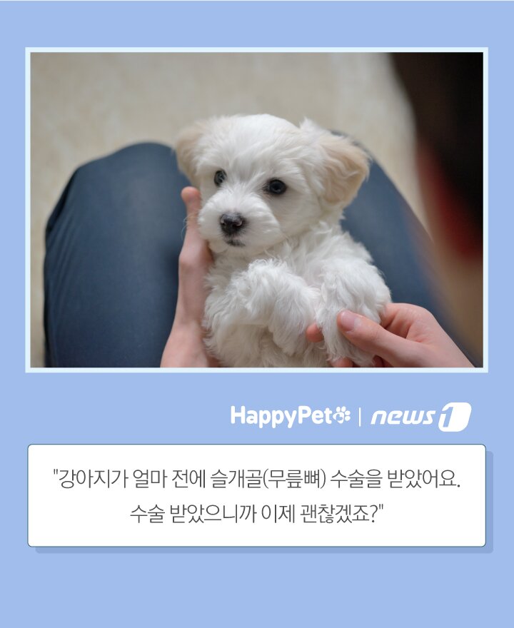 본문 이미지 -  