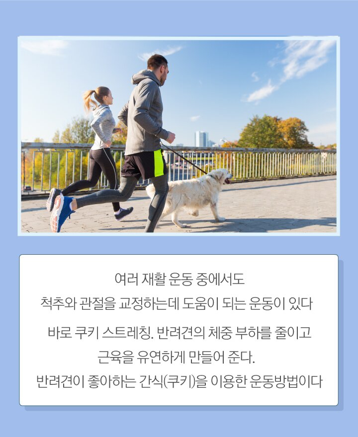 본문 이미지 -  
