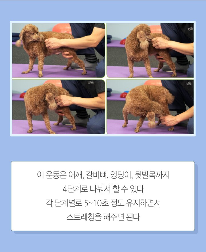 본문 이미지 -  