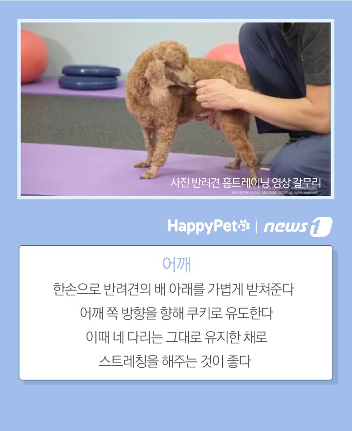 본문 이미지 -  