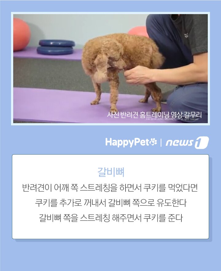 본문 이미지 -  