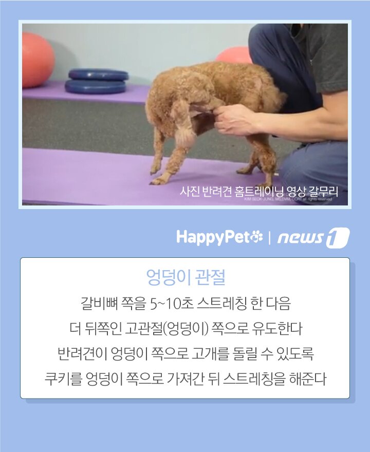 본문 이미지 -  