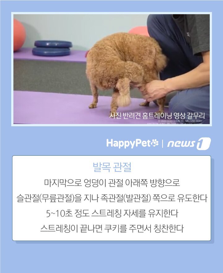 본문 이미지 -  