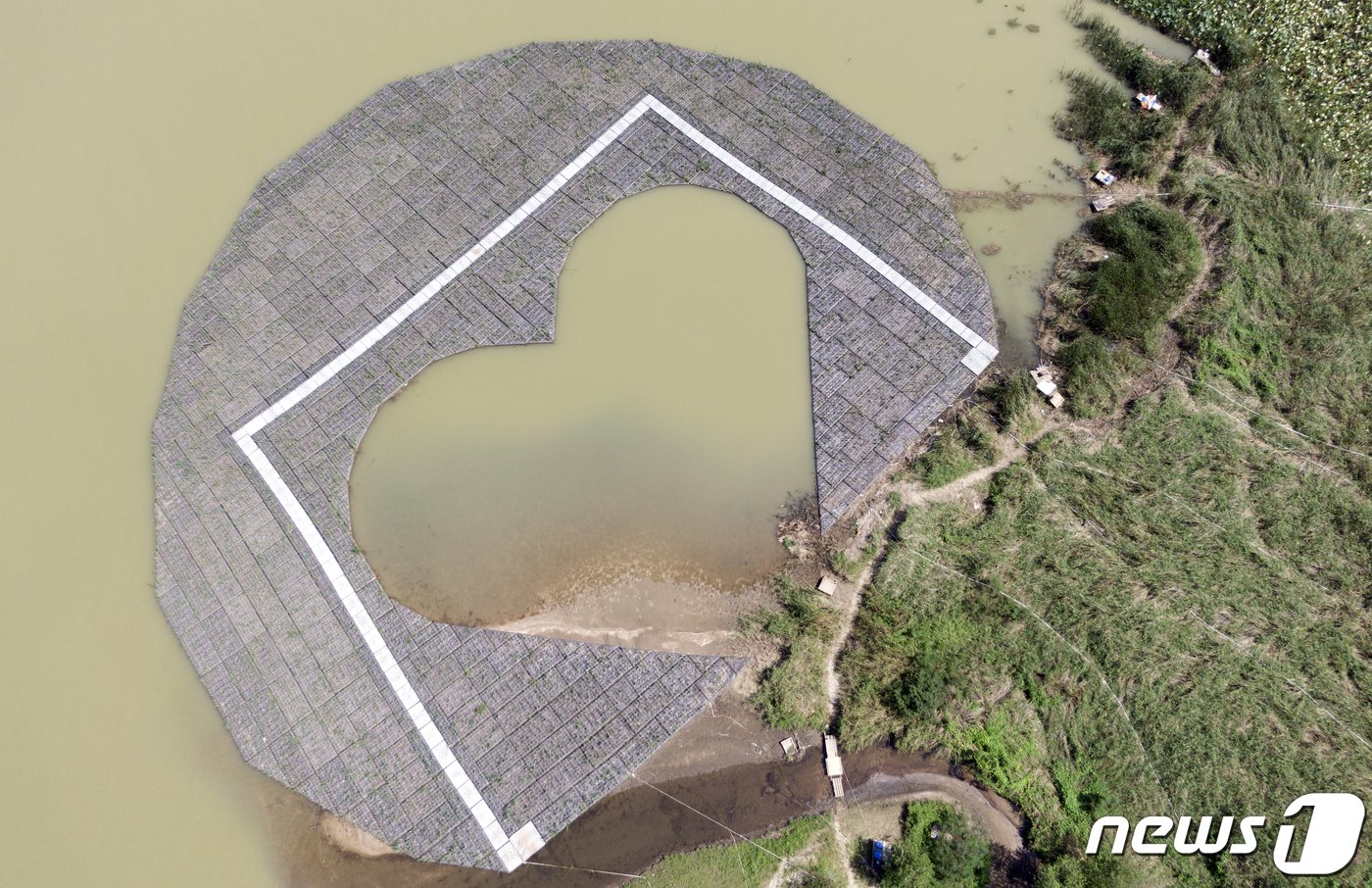 본문 이미지 - 강원도 춘천시의 도시 브랜드인 하트 모양을 담은 인공 수초섬이 4일 삼천동 옛 중도 선착장 인근에 고정돼 있다. 인공 수초섬 2개 중 1개는 완공되기 전인 지난 2020년 8월 6일 의암호의 급류에 휩쓸렸고, 이를 고정하려는 작업을 진행하다가 인명피해가 났다. 2020.9.4/뉴스1 ⓒ News1 김명섭 기자