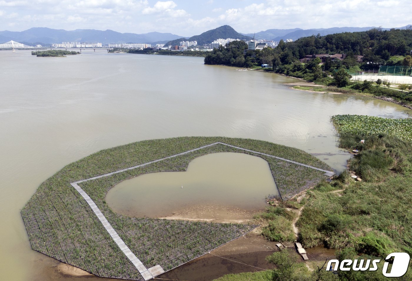 본문 이미지 - 강원도 춘천시의 도시 브랜드인 하트 모양을 담은 인공 수초섬이 삼천동 옛 중도 선착장 인근에 고정돼 있다. &lt;자료사진&gt;/뉴스1 DB