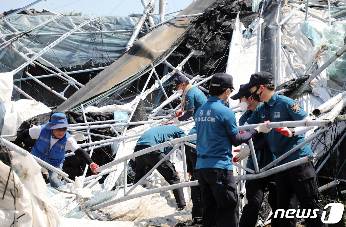 본문 이미지 - 4일 제9호 태풍 '마이삭'으로 인해 제주 제주시 구좌읍 한 양식장의 철재물이 덮친 주택가에서 복구 작업이 한창이다. 이날 제주 해안경비단 125의경대가 대민 복구 지원활동을 벌였다.2020.9.4/뉴스1 ⓒ News1 홍수영 기자