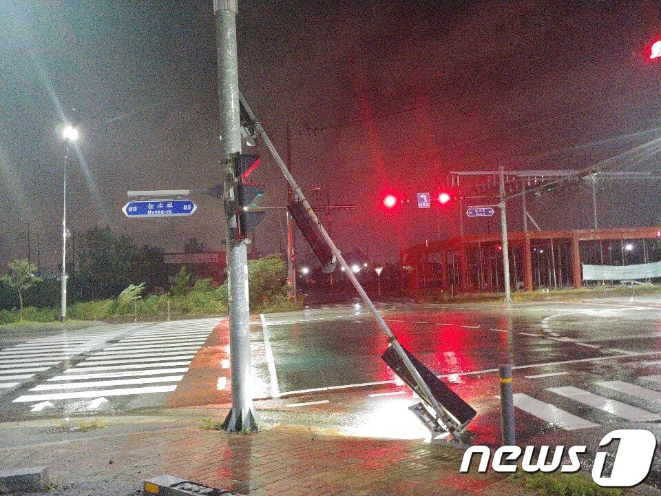 본문 이미지 - 7일 오전 태풍 '하이선'의 영향으로 전남 광양시 마동의 한 도로 신호등이 부러졌다는 신고가 광양시에 접수됐다. 광양시는 현재 가로수 정비 조치를 취하고 있다.(광양시 제공)2020.9.7 /뉴스1 ⓒ News1 