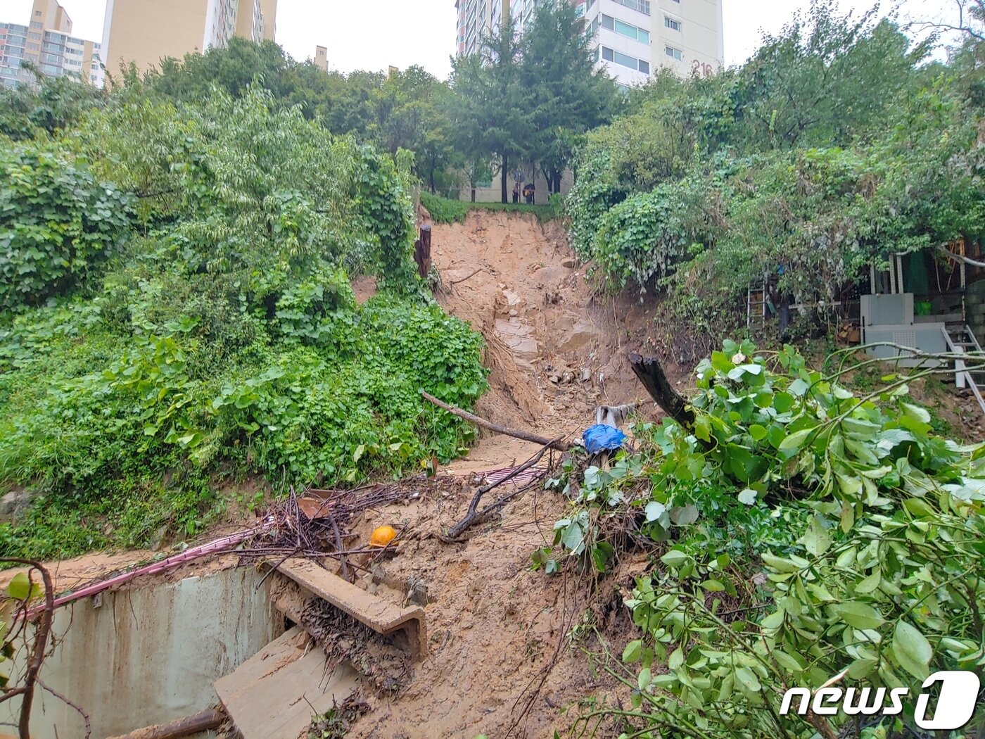 본문 이미지 - 제10호 태풍 하이선이 쏟아낸 폭우로 부산진구 개금동 한 주택 인근에 토사가 떠내려왔다. 이 토사로 주택에 고립된 A씨(68)가 소방당국에 의해 구조됐다. (부산소방재난본부 제공) 2020.9.7/뉴스1 ⓒ News1 박세진 기자