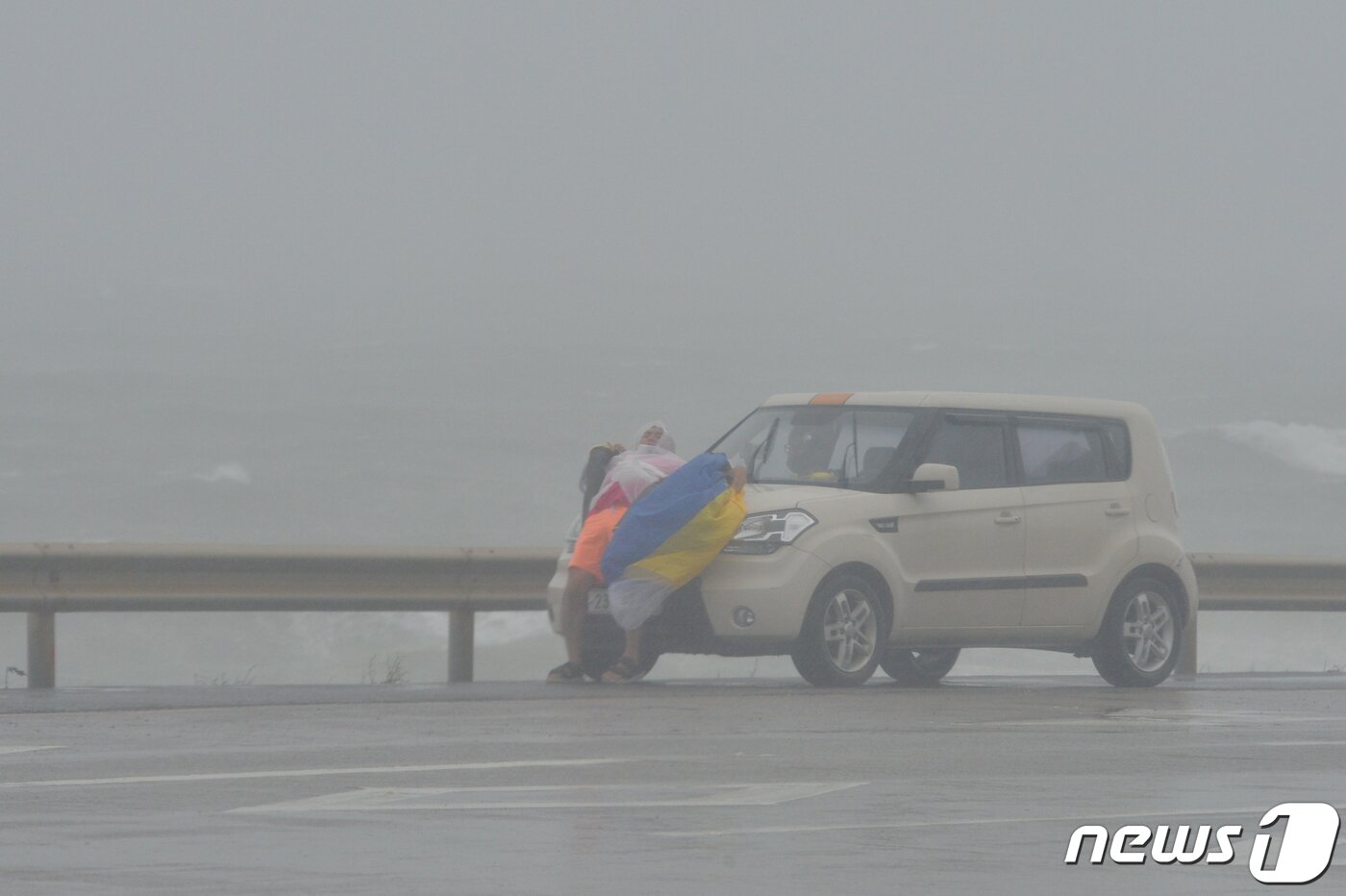 본문 이미지 - 7일 오전 경북 포항시 전역이 제10호 태풍 하이선 영향권에 들어가면서 강한 비바람이 몰아치고 있다. 북구 흥해읍 영일만 항 앞 도로에서 승용차에서 내린 운전자가 강풍에 몸을 가누지 못하고 있다. 2020.9.7/뉴스1 ⓒ News1 최창호 기자