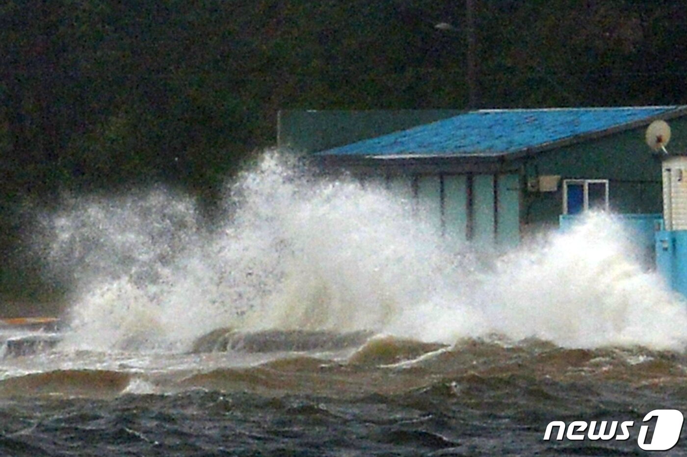 본문 이미지 - 7일 오전 경북 포항시 전역이 제10호 태풍 하이선 영향권에 들어가면서 강한 비바람이 몰아치고 있다. 북구 흥해읍 죽천리 해안 주택에 파도가 밀려들고 있다. 2020.9.7/뉴스1 ⓒ News1 최창호 기자