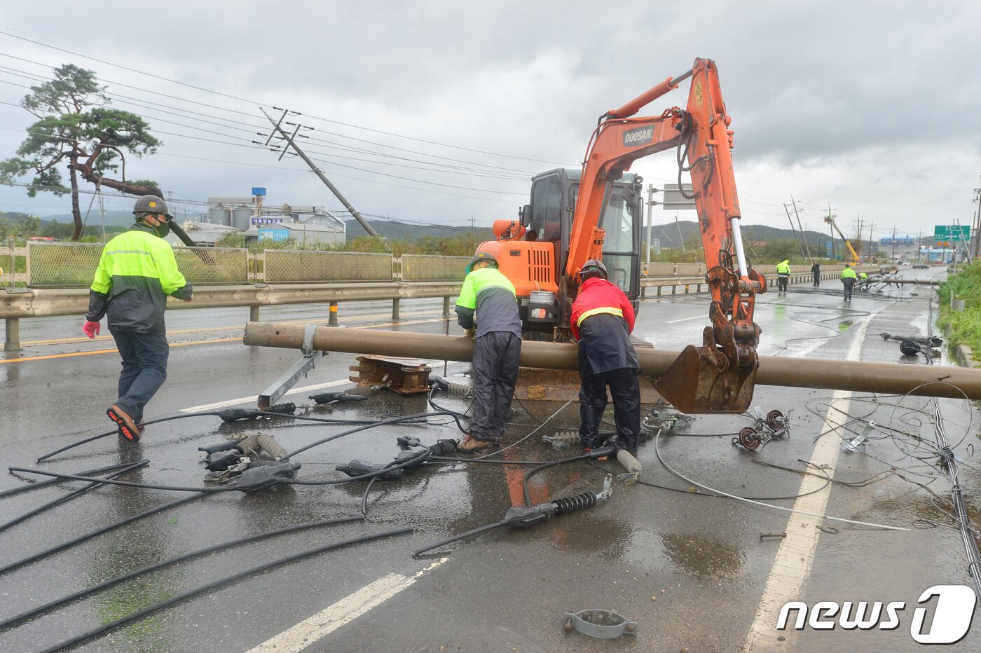 본문 이미지 - 7일 오후 경북 포항시 북구 흥해읍 7번 국도 영덕 방향 차로에 제10호 태풍 하이선에 파손된 전신주가 덮쳐 차량 통행이 차단되고 있다. 2020.9.7/뉴스1 ⓒ News1 최창호 기자