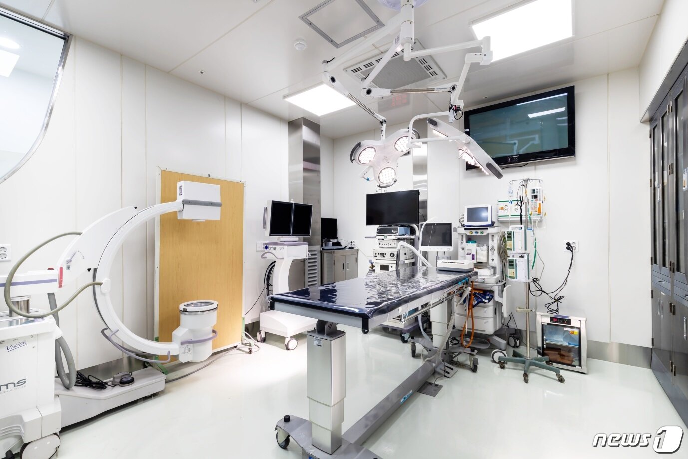 본문 이미지 - VIP동물의료센터는 9일 요로결석 등 수술을 위해 비뇨기 내시경과 홀뮴야그 레이저를 들여오게 됐다고 밝혔다. 사진 VIP동물의료센터 제공 ⓒ 뉴스1