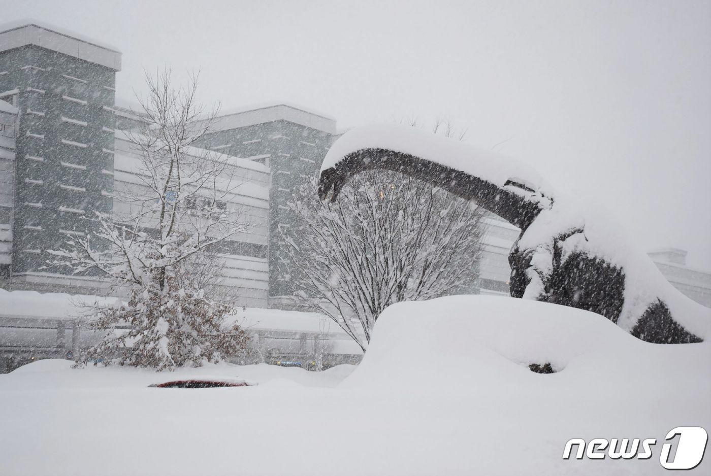 본문 이미지 - 지난 9일 일본 후쿠이현 후쿠이 기차역이 폭설에 뒤덮여 있다. ⓒ AFP=뉴스1