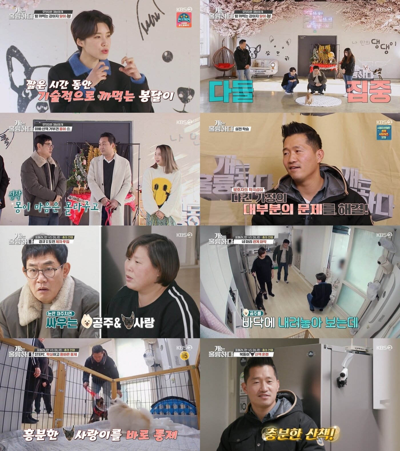 본문 이미지 - ⓒ 뉴스1