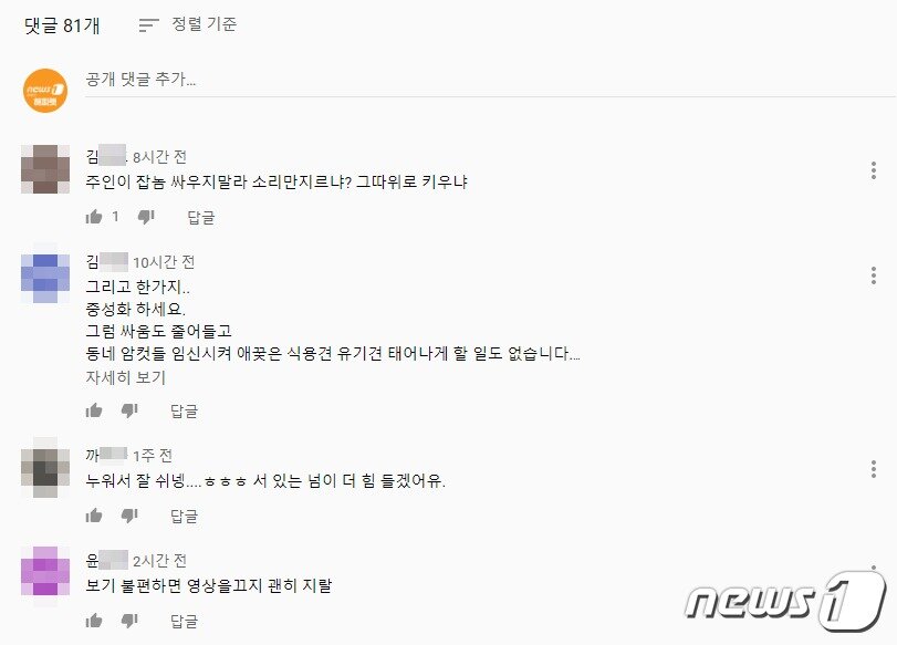 본문 이미지 - 사진 개싸움 영상 댓글 갈무리 ⓒ 뉴스1