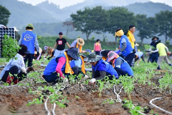 영동군 26일까지 귀농귀촌인 정착 지원 희망자 모집