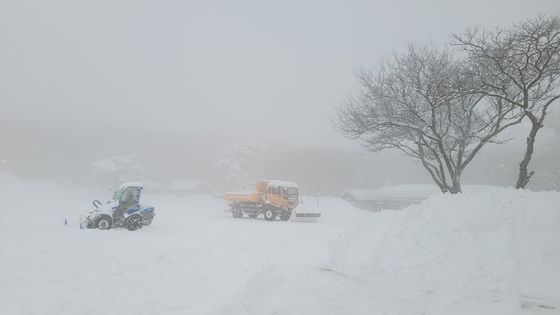 [오늘의 날씨]제주(8일, 수)…산간 최대 15㎝ 눈, 강풍도