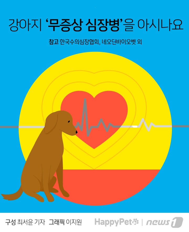 본문 이미지 -  