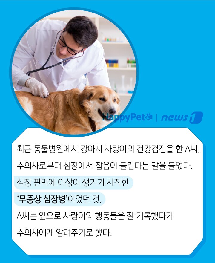 본문 이미지 -  