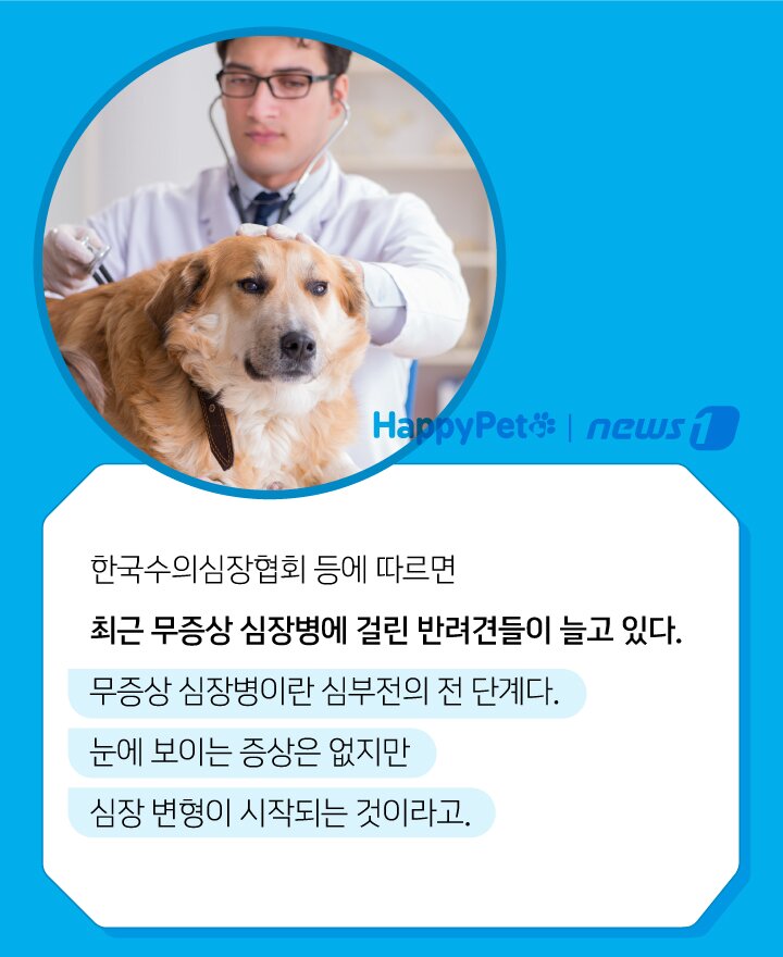 본문 이미지 -  
