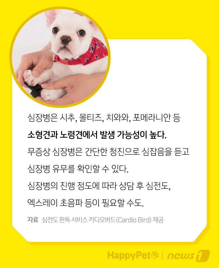 본문 이미지 -  
