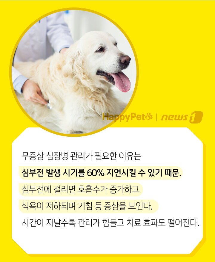 본문 이미지 -  