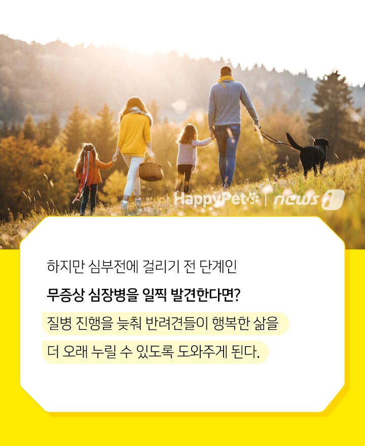 본문 이미지 -  