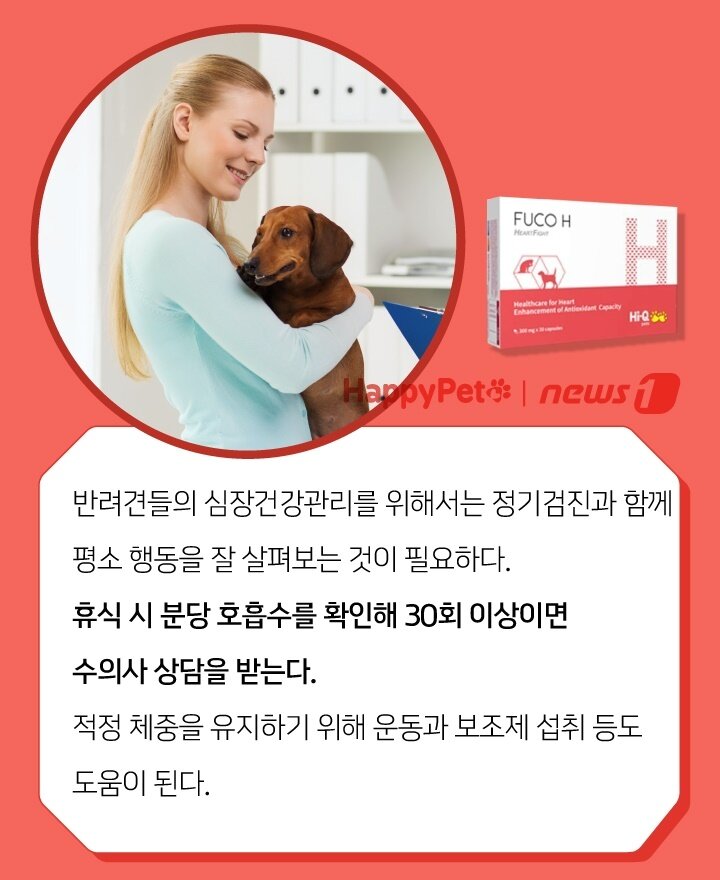 본문 이미지 -  