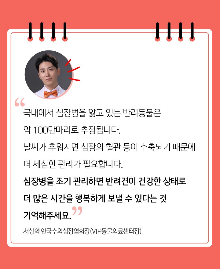 본문 이미지 -  