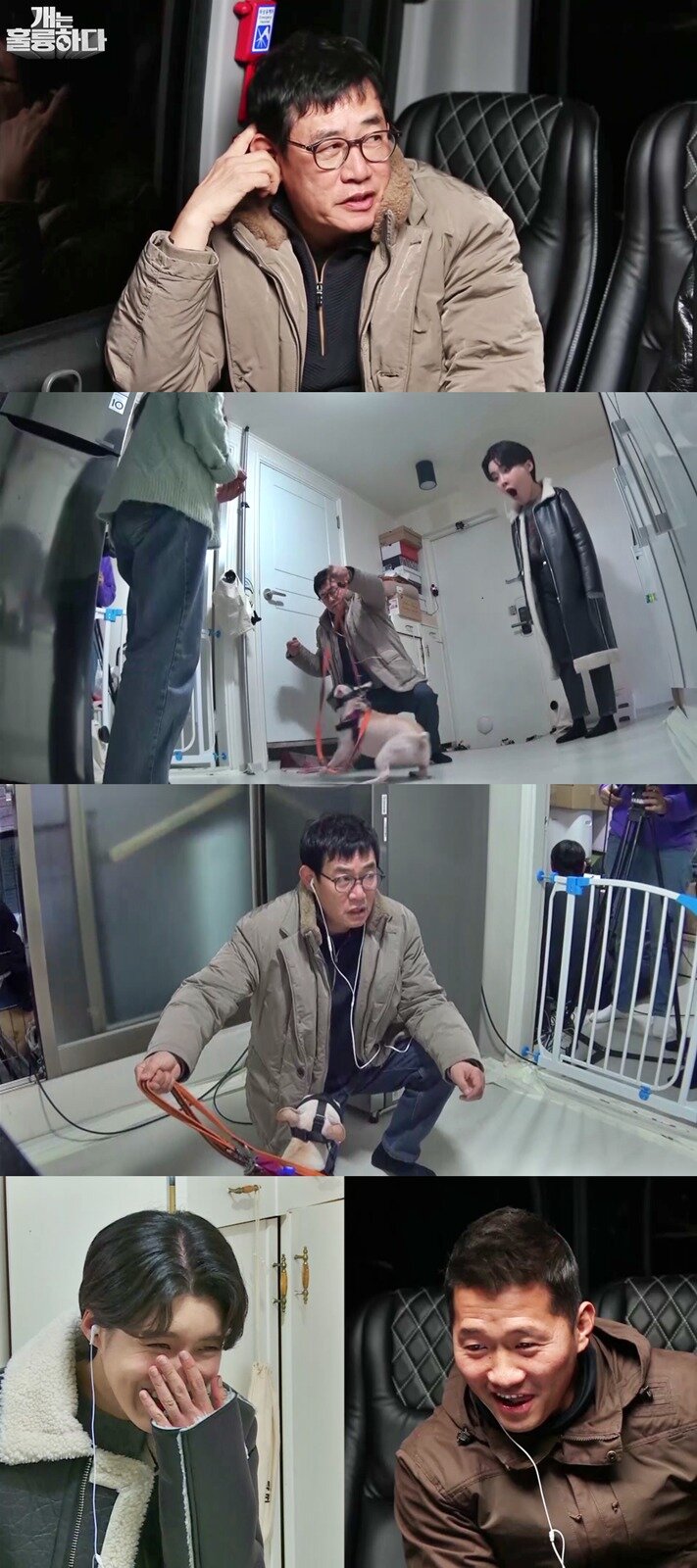 본문 이미지 - 사진 개는 훌륭하다 제공 ⓒ 뉴스1