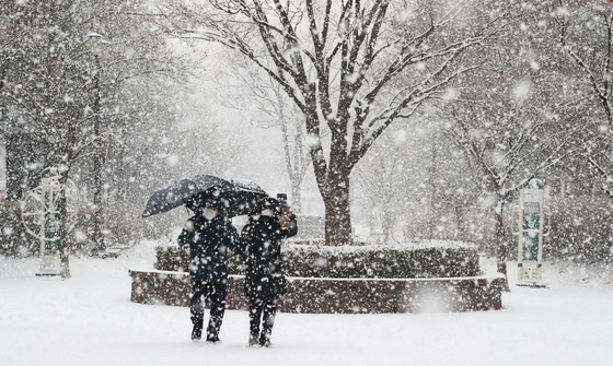 대전과 충남 공주·논산·부여·보령·서천 등 대설주의보