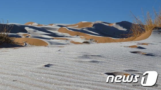 50 년 만에 중동 사막에 눈이 내렸다 … 사하라 사막 도로 설국 ‘