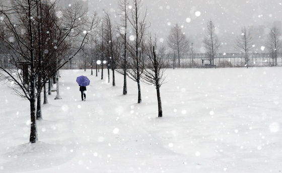 충북 8개 시군 대설주의보…내일까지 최대 7㎝