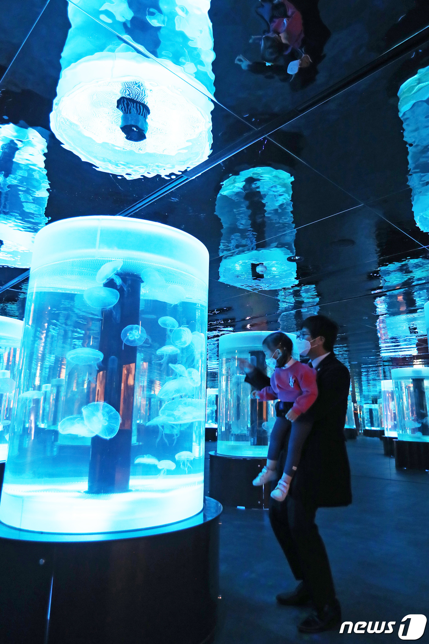 (수원=뉴스1) 조태형 기자 = 19일 오전 경기도 수원시 영통구 아쿠아플라넷 광교를 찾은 시민들이 다양한 해양 생물을 만나보고 있다.이날 개장한 아쿠아플라넷 광교는 샌드타이거샤크 …