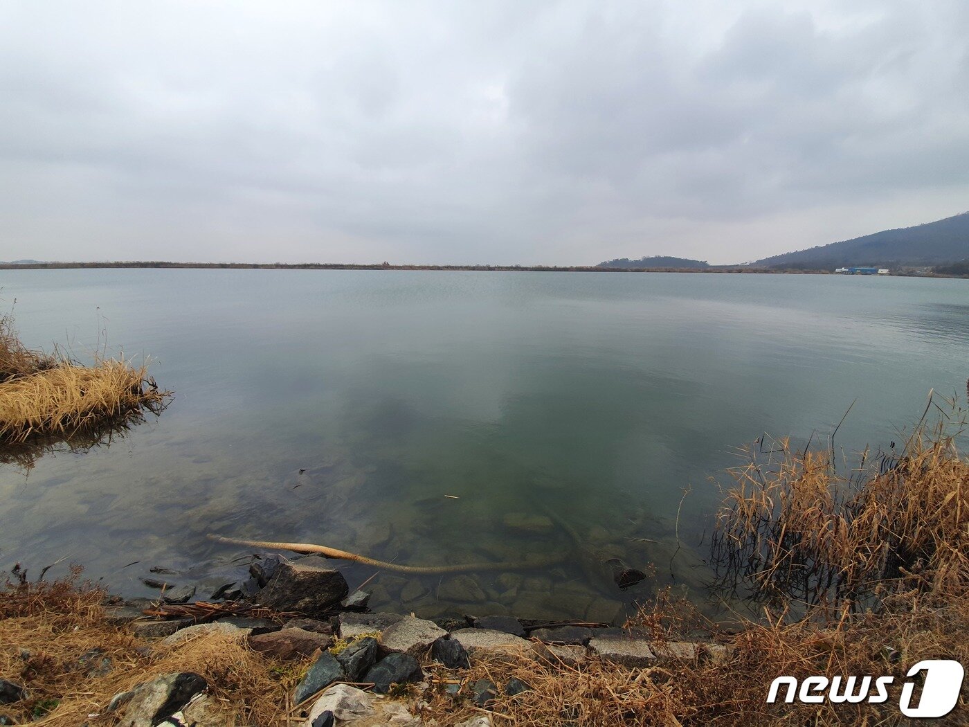 본문 이미지 - 서산개척단원들이 산에서 돌을 이고 와서 만든 저수지. 2020.12.30. ⓒ 뉴스1 서혜림 기자