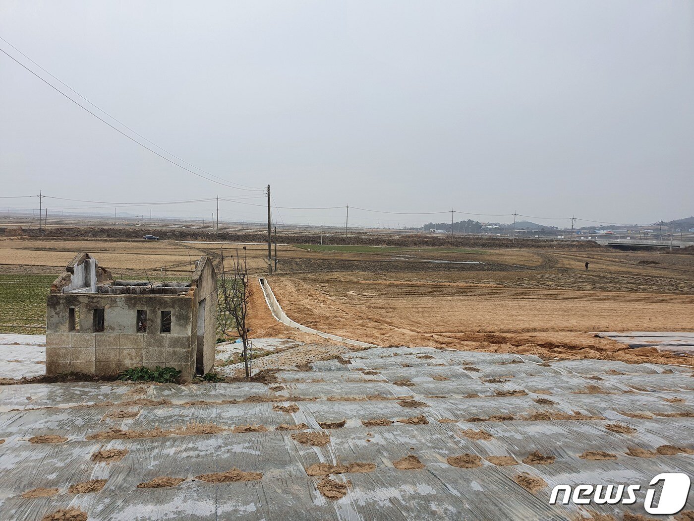 본문 이미지 - 서산시 인지면 모월3리의 풍경. 겨울 들판이 널찍하게 펼쳐져 있다. 2020.12.30.ⓒ 뉴스1 서혜림 기자