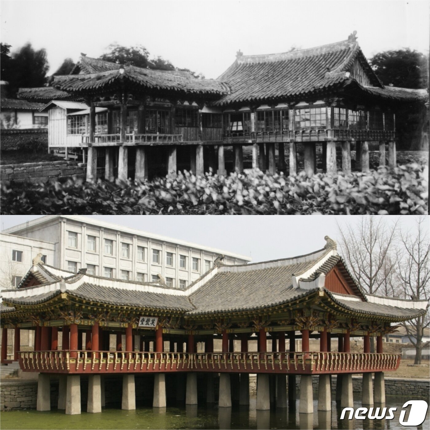본문 이미지 - 일제강점기 때의 부용당 모습(위)과 2003년에 복원된 부용당의 모습. (미디어한국학 제공) 2021.01.23.ⓒ 뉴스1