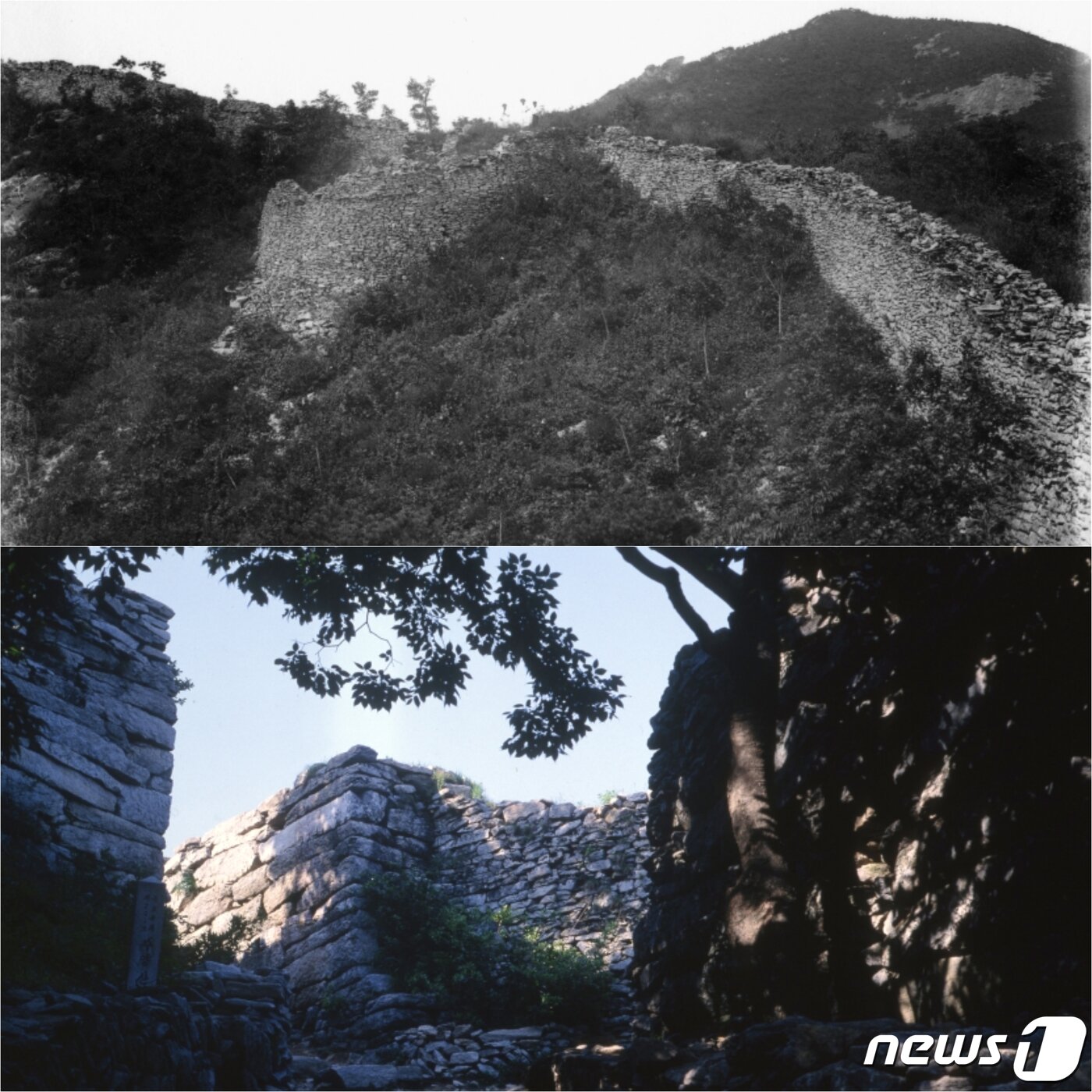 본문 이미지 - 일제강점기에 촬영된 수양산성 성곽(위)과  현재 남아 있는 수양산성 남문 성곽 모습(아래). (미디어한국학 제공) 2021.01.23.ⓒ 뉴스1
