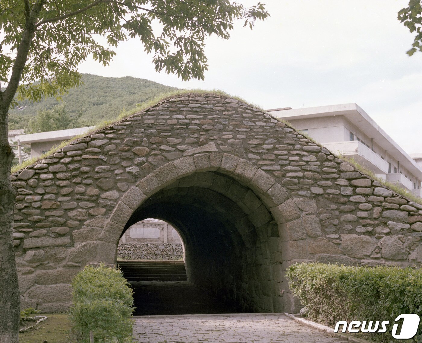 본문 이미지 - 황해남도 해주시 옥계동에 남아 있는 해주석빙고 전경. 고려 초기에 처음 조성된 유적이다.(미디어한국학 제공) 2021.01.23.ⓒ 뉴스1