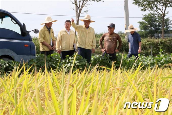 본문 이미지 - 전북 부안군이 올해 농산업 활성화와 일자리 창출을 통한 부안형 뉴딜을 실현하기 위해 754억원의 예산을 투입해 농업분야 역점사업을 추진한다고 24일 밝혔다.  권익현 군수가  쌀 수확현장을 방문해 농업인과 이야기를 나누고 있다.ⓒ 뉴스1