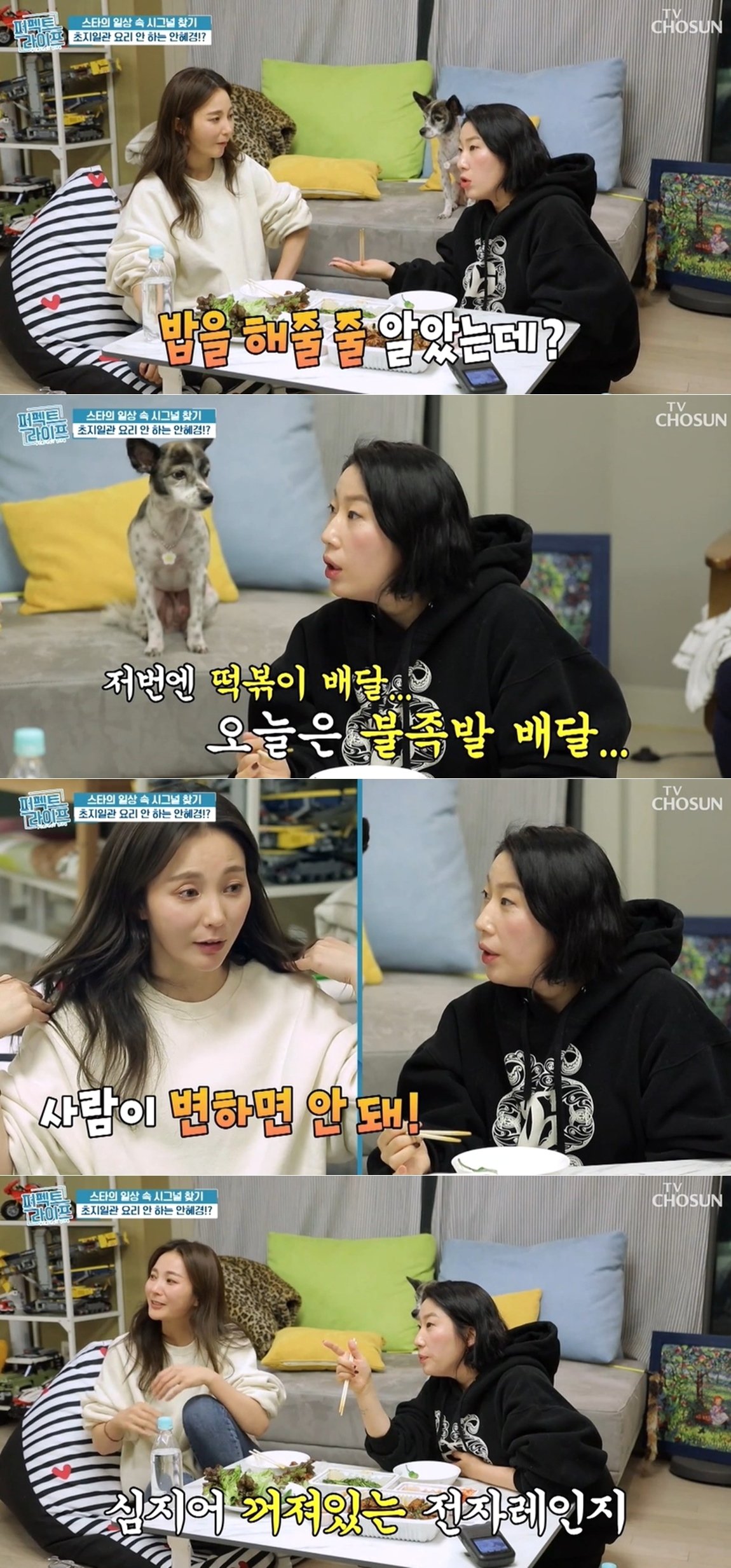 본문 이미지 - TV조선 &#39;퍼펙트라이프&#39; 방송화면 갈무리 ⓒ 뉴스1