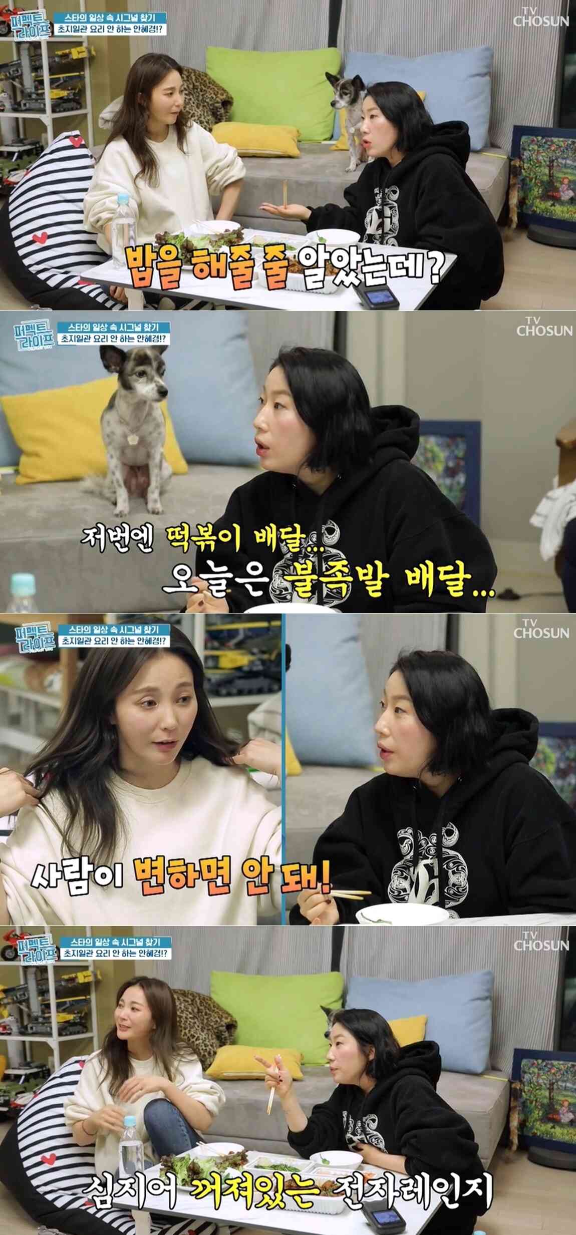 TV조선 '퍼펙트라이프' 방송화면 갈무리 © 뉴스1