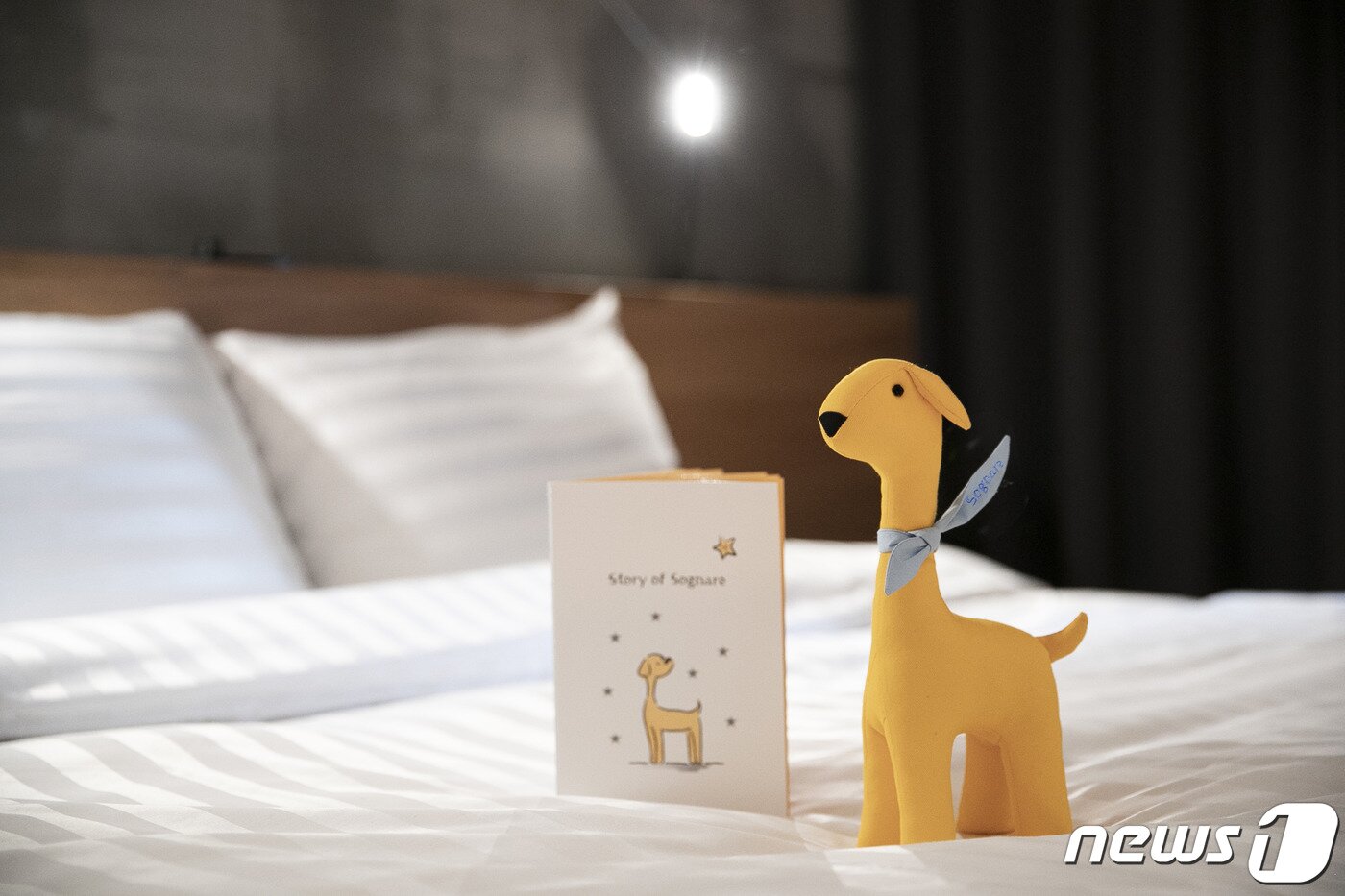 본문 이미지 - 사진 소노호텔&리조트 제공ⓒ 뉴스1