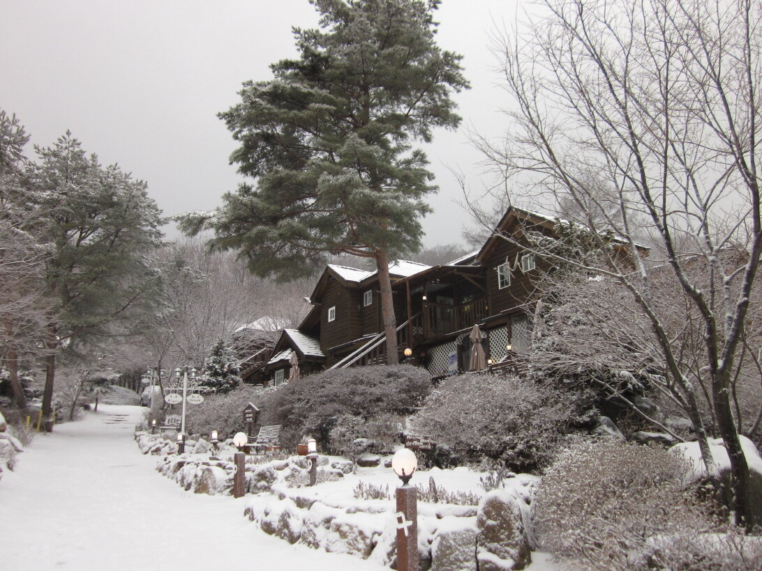 본문 이미지 - 대한민국 평창 '메이페어 데네브 펜션'