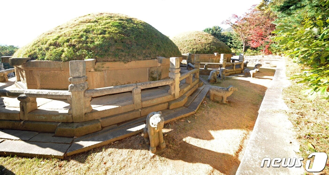 본문 이미지 - 고려 31대 공민왕과 왕후의 무덤인 현릉과 정릉(玄陵·正陵) 뒤쪽 전경. (미디어한국학 제공) 2021.01.30.ⓒ 뉴스1