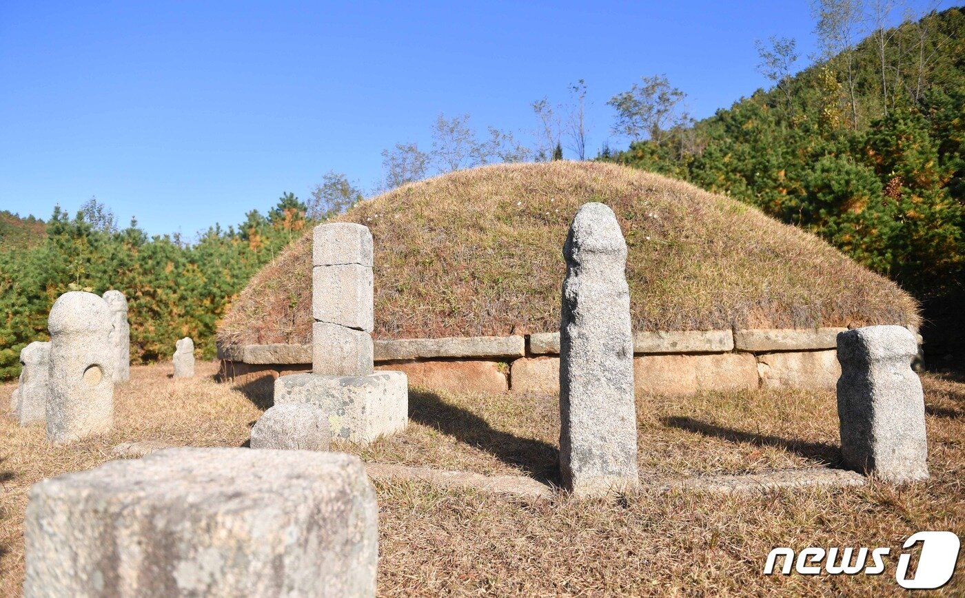 본문 이미지 - 개성시 해선리 왕건릉의 서남쪽에 있는 명릉군(明陵群)의 ‘제1릉’ 전경. 고려 29대 충목왕의 무덤인 명릉(明陵)으로 추정된다. (미디어한국학 제공) 2021.01.30.ⓒ 뉴스1