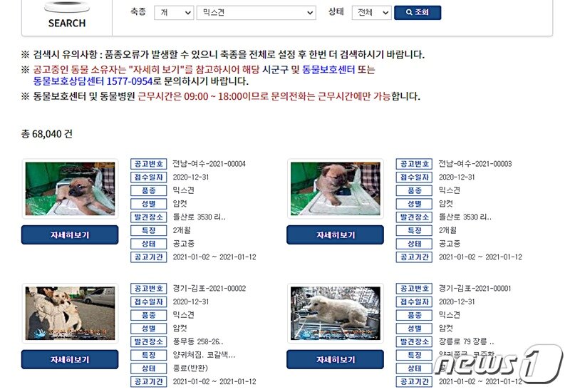 본문 이미지 - 사진 동물보호관리시스템 홈페이지 ⓒ 뉴스1