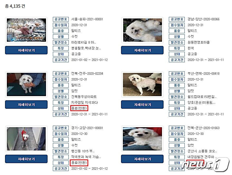 본문 이미지 - 유실유기동물로 등록된 개체 중에는 주인에게 반환된 경우도 꽤 있다. 사진 동물보호관리시스템 홈페이지 ⓒ 뉴스1